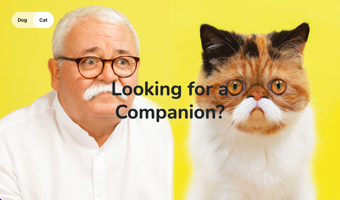 portfolio, site de ventes de vêtements haute-coutures