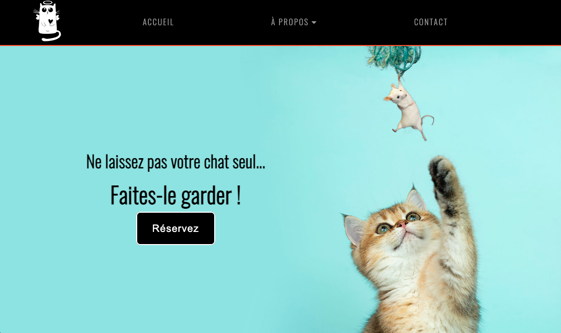 portfolio, le site de la Gardienne de chats